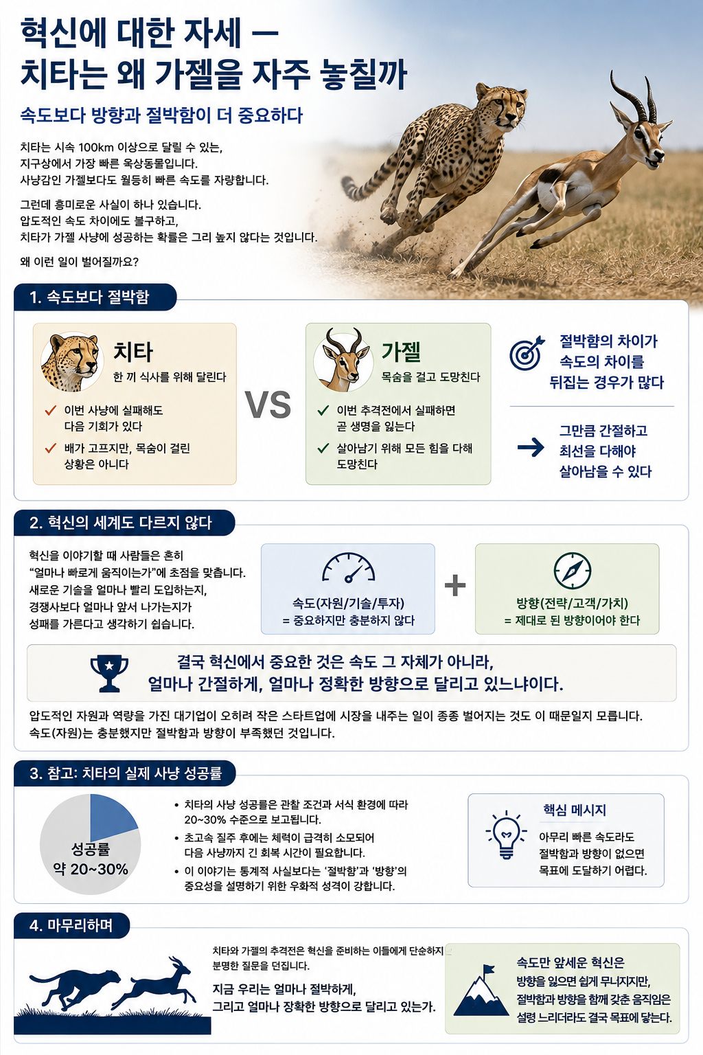 혁신의 자세 — 치타와 가젤