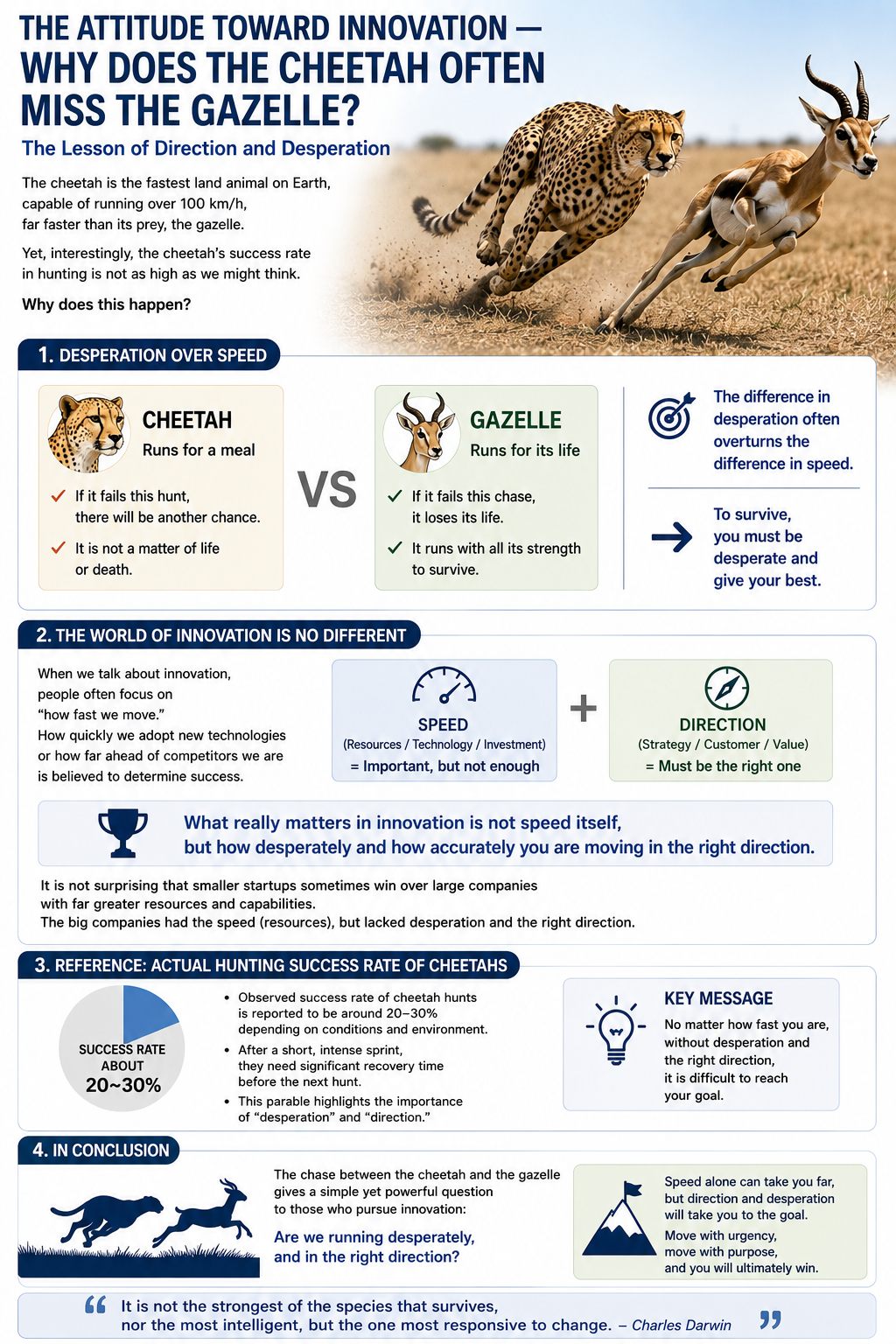 The Right Stance for Innovation — Cheetah and Gazelle