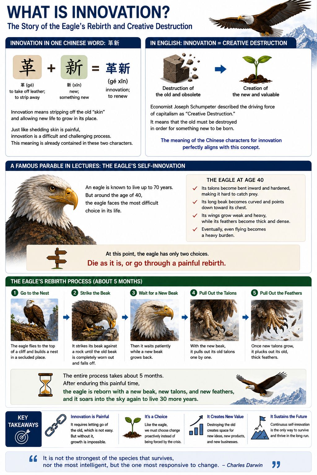 Innovation — The Eagle's Rebirth